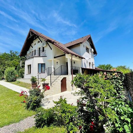 Hermesvilla Băile Felix Exterior foto