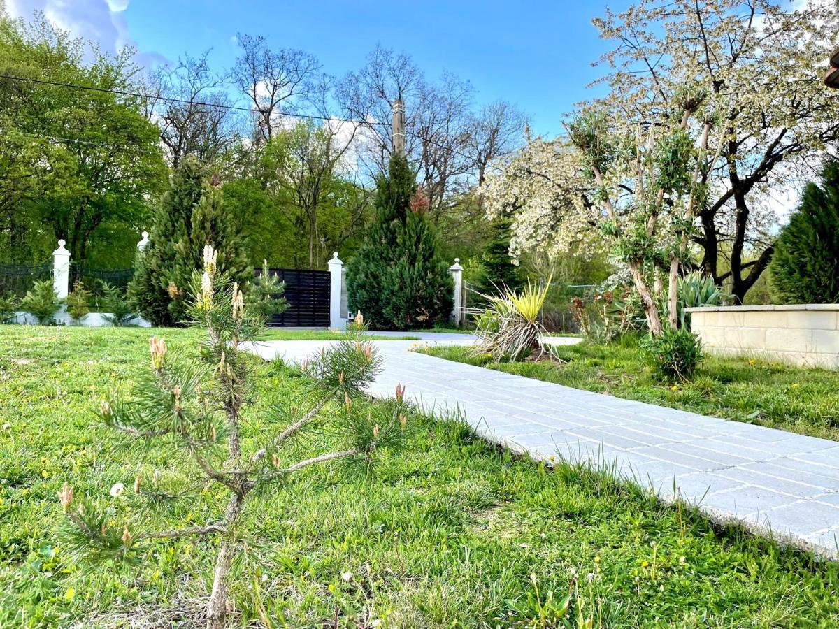 Hermesvilla Băile Felix Exterior foto